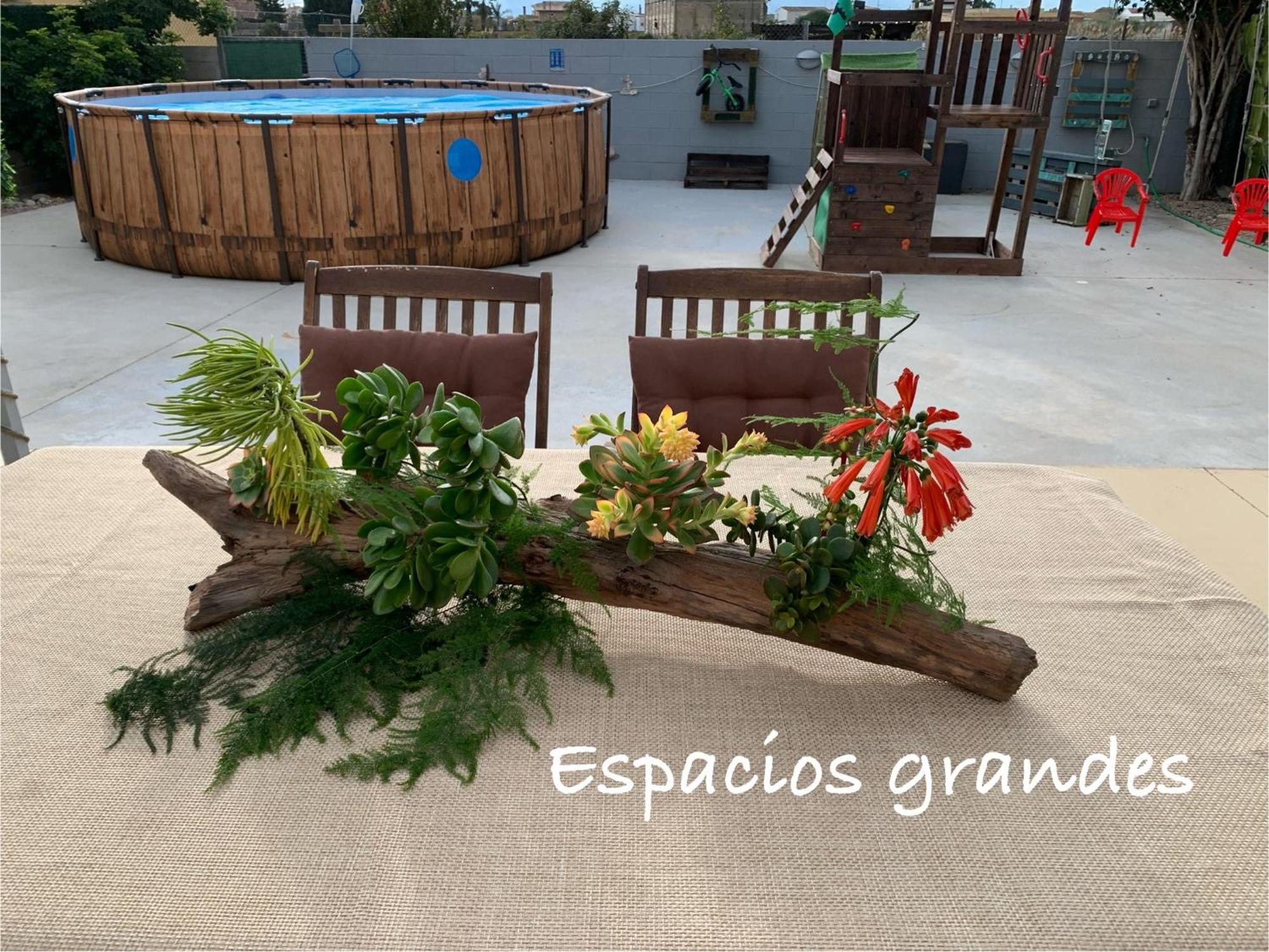 Casa Enric , Con Zona Infantil, Piscina Y Parking Privado Guest House Deltebre Ngoại thất bức ảnh